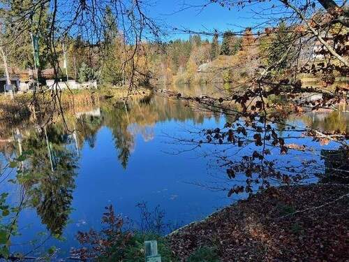 Klosterweier - 5 Zimmer Mehrfamilienhaus, Wohnhaus zum Kaufen in Dachsberg