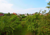 Blick in Garten.png - Mehrfamilienhaus, Wohnhaus in Kühlungsborn zum Kaufen