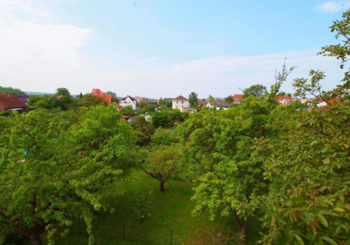 Blick in Garten.png - Mehrfamilienhaus, Wohnhaus in Kühlungsborn zum Kaufen