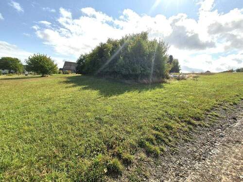 Wiese mit Fahrsilo - 