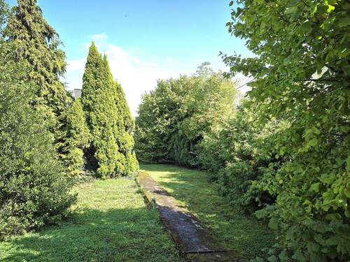 ehemaliger Nutzgarten - 