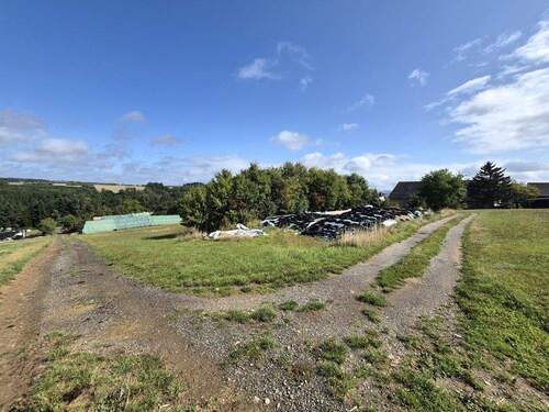 Wiese mit Fahrsilo - 