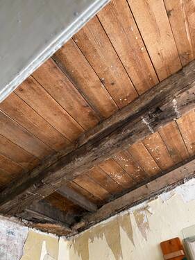 IMG_5472 - 