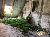 IMG_5478 - 