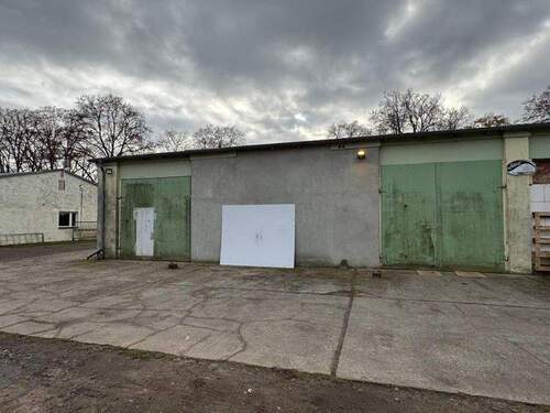 WhatsApp Image 2025-11-04 at 19.09.30 (17) - 