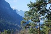 Balkonblick - 