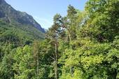 Balkonblick - 