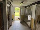 Hundezwinger - 