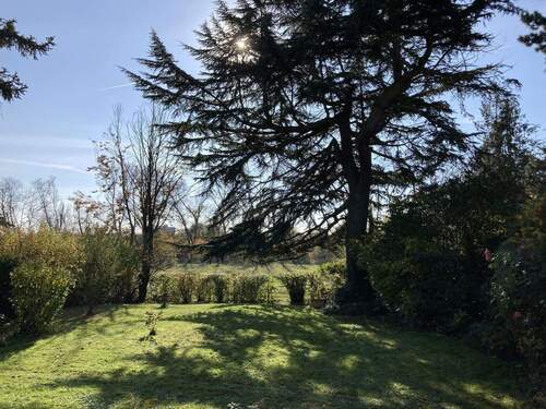 Garten zum Main - 1 Zimmer Einfamilienhaus in Maintal/Dörnigheim