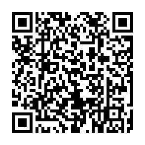 QR-Code - 
