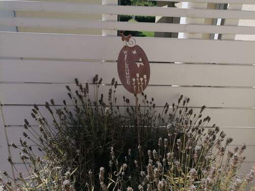 1 Herzlich Willkommen.jpg - 5 Zimmer Einfamilienhaus zum Kaufen in Markkleeberg