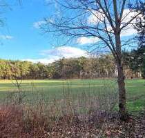 Baugrundstück am Waldrand - mit Baugenehmigung - Märkische Heide (OT Hohenbrück-Neu Schadow) Groß Leine