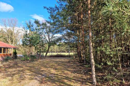 Ansicht Grundstück - Grundstück in Märkische Heide (OT Hohenbrück-Neu Schadow) zum Kaufen
