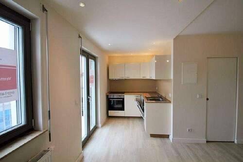 Kochen mit Einbauküche - 2 Zimmer Etagenwohnung in Dresden