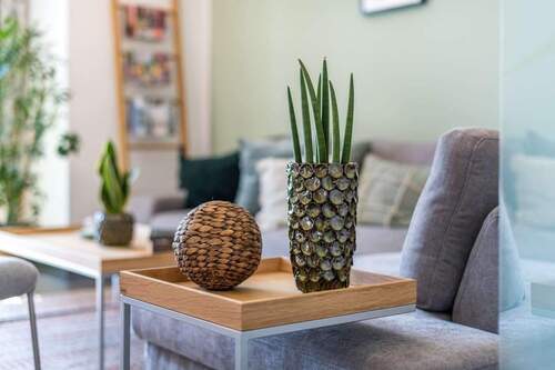 Willkommen bei massa! - 