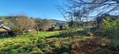 Garten im Herbst - 