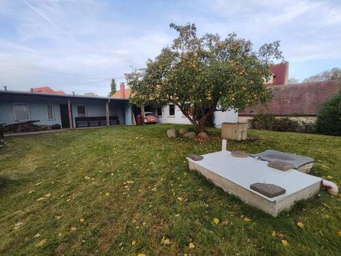 Garten mit Poolwanne - 