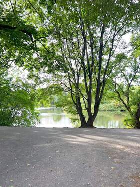 Naturnahe Umgebung mit Teich Blick - 