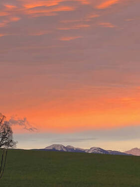 Ausblicke übers Jahr - 