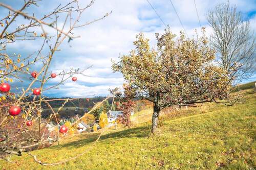 Großes Grundstück - Bauernhaus, Landhaus mit 147,00 m&sup2; in Altenberg zum Kaufen