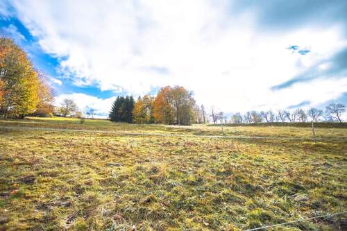 Großes Grundstück - 