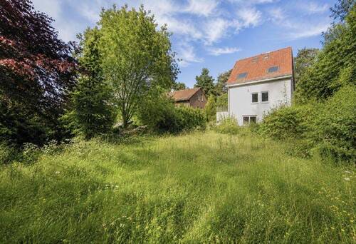der Garten noch nicht gemäht - 