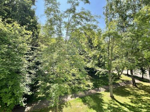 Ausblick - 