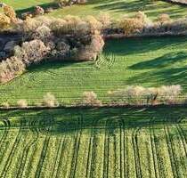 2 Hektar Möglichkeiten - Sanierungsobjekt mit Potenzial! - Krumstedt