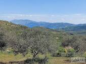 Aussicht - 