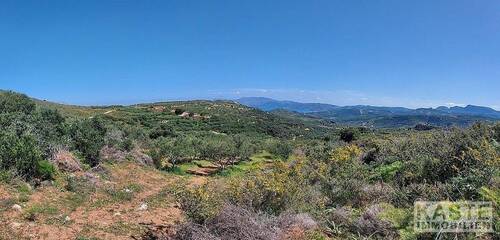 Aussicht - 