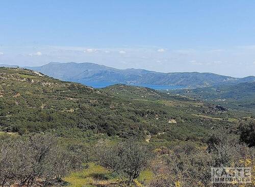 Aussicht - 