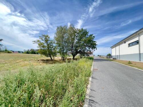 Bäume können entfernt werden - Einfamilienhaus in Medingen zum Kaufen