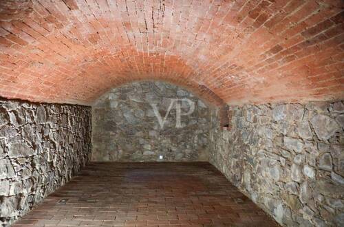 Weinkeller - 