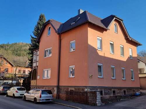 Außenansicht - Mehrfamilienhaus, Wohnhaus mit 315,00 m² in Neustadt bei Coburg zum Kaufen