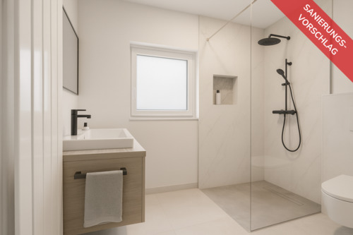 SANIERUNGS- VORSCHLAG - 