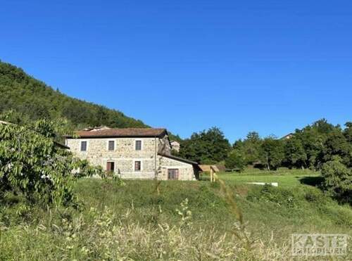 Aussenansicht - Mehrfamilienhaus, Wohnhaus mit 400,00 m&sup2; in Lucca zum Kaufen