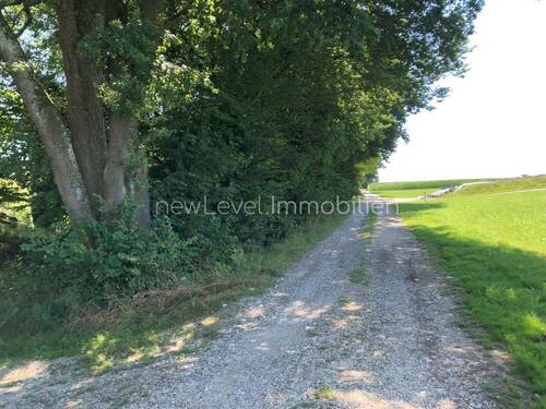 Felder und Wälder - 