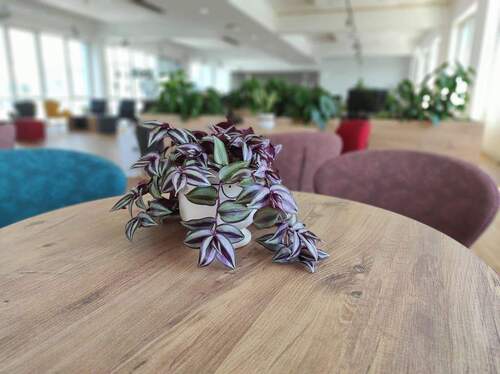 Lounge Area 2 - Büro zur Miete in Neuss