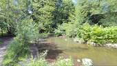 Nur einen Steinwurf entfernt... - 