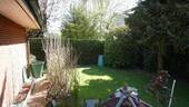 Garten (2) - 