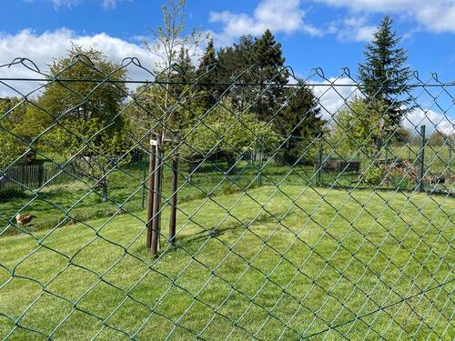 Zaun des Nachbarn - 