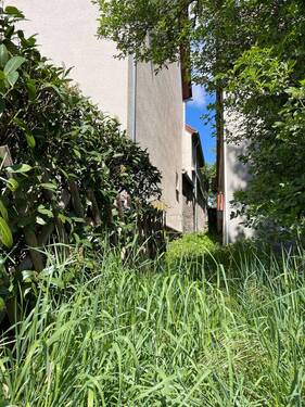 Weg nach Hinten - 