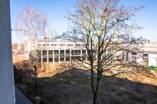 Fensterblick - 
