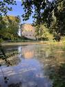 Teich - 