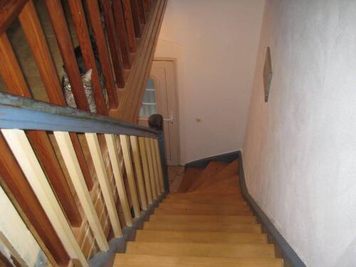 IMG_2653.JPG - 