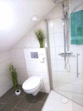 Gast-DG Glas-Dusche - 