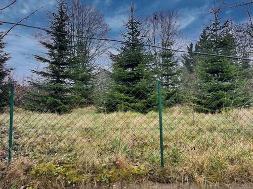 Gartengrundstück zur zusätzlichen Nutzung - 8 Zimmer Einfamilienhaus in Lemgo