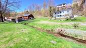 Bachlauf - 