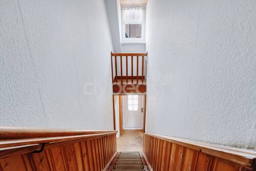 Zimmer DG - 