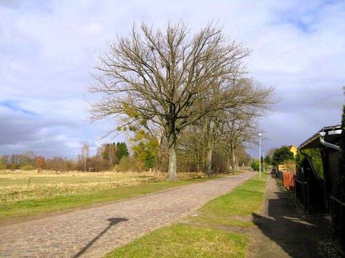 Blick über Dorfstraße - 3 Zimmer Doppelhaushälfte in Wilhelmsburg / Fleethof